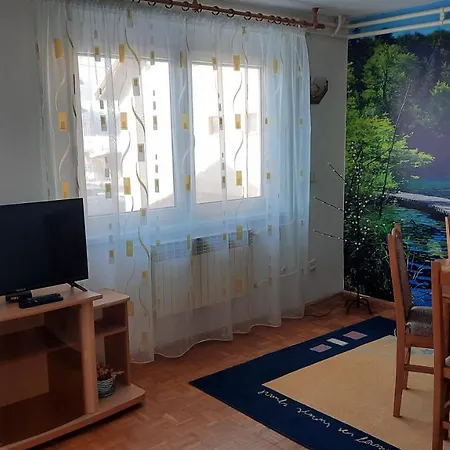 Apartman Radovic * Pale