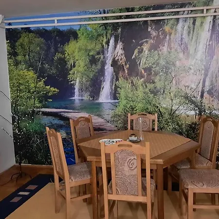 Apartman Radovic * Pale