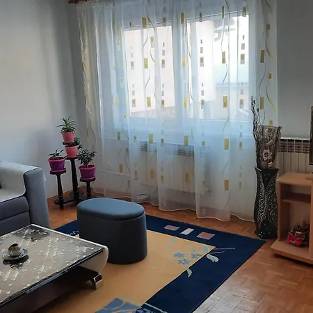 Apartment Apartman Radovic *