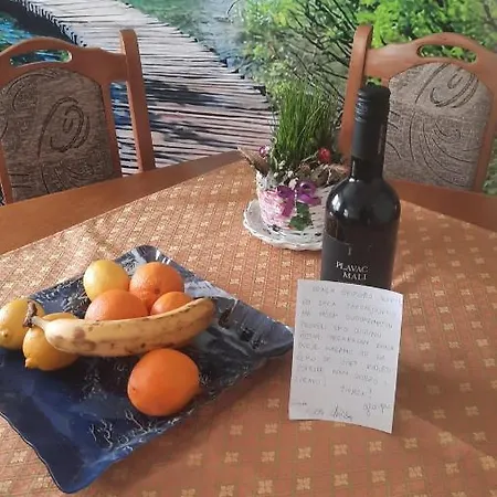Apartman Radovic