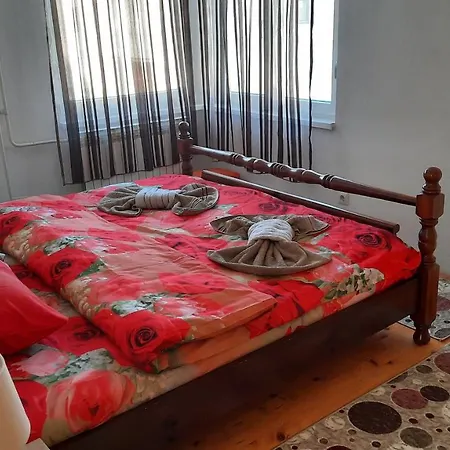 Apartman Radovic * Pale